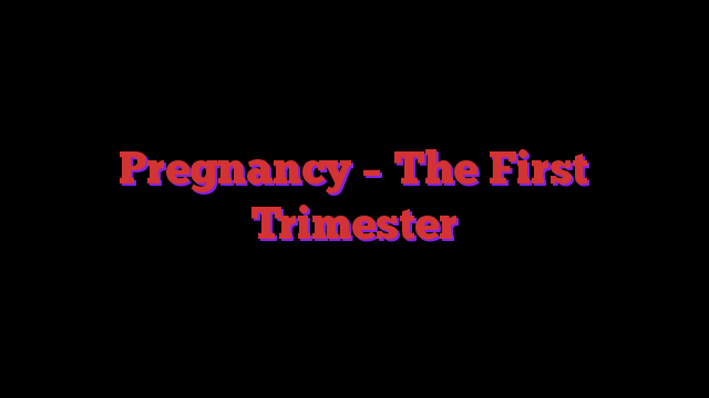 Pregnancy  The First Trimester