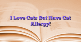 I Love Cats But Have Cat Allergy!