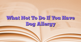 What Not To Do If You Have Dog Allergy