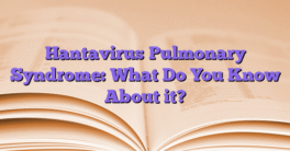 Hantavirus Pulmonary Syndrome: What Do You Know About it?