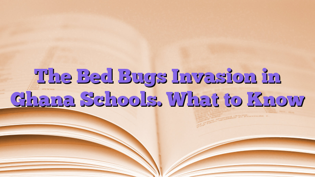 The Bed Bugs Invasion in Ghana Schools. What to Know