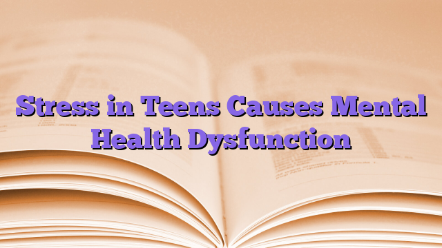 Stress in Teens Causes Mental Health Dysfunction