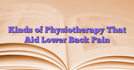 Kinds of Physiotherapy That Aid Lower Back Pain