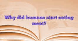 Why did humans start eating meat?
