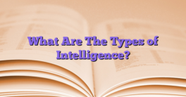 What Are The Types of Intelligence?
