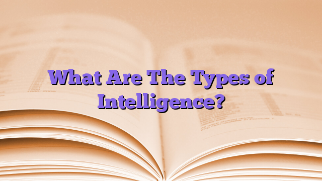 What Are The Types of Intelligence?
