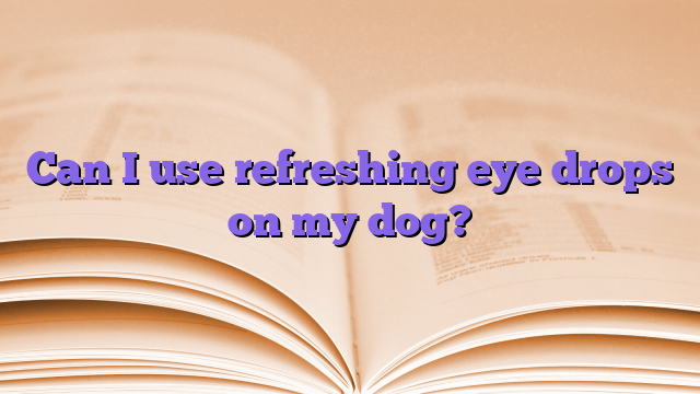 Can I use refreshing eye drops on my dog?