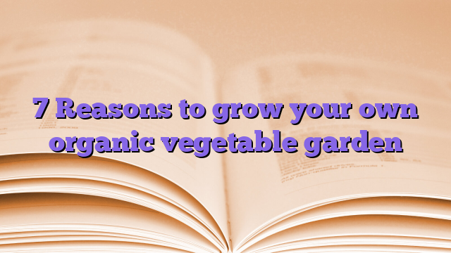 7 Reasons to grow your own organic vegetable garden