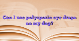 Can I use polysporin eye drops on my dog?