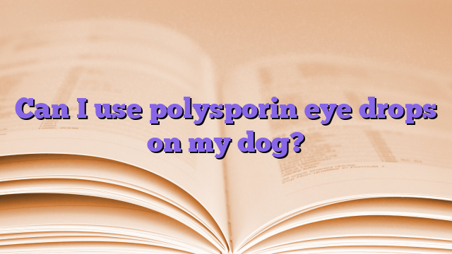 Can I use polysporin eye drops on my dog?