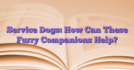 Service Dogs: How Can These Furry Companions Help?