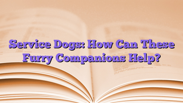Service Dogs: How Can These Furry Companions Help?