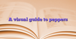 A visual guide to peppers