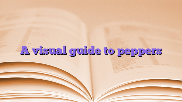 A visual guide to peppers